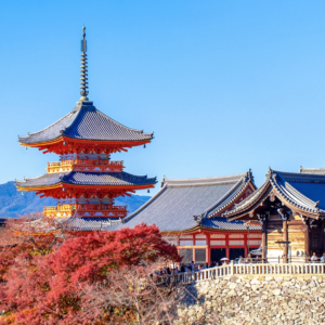 Tour guiado de templos en Kyoto